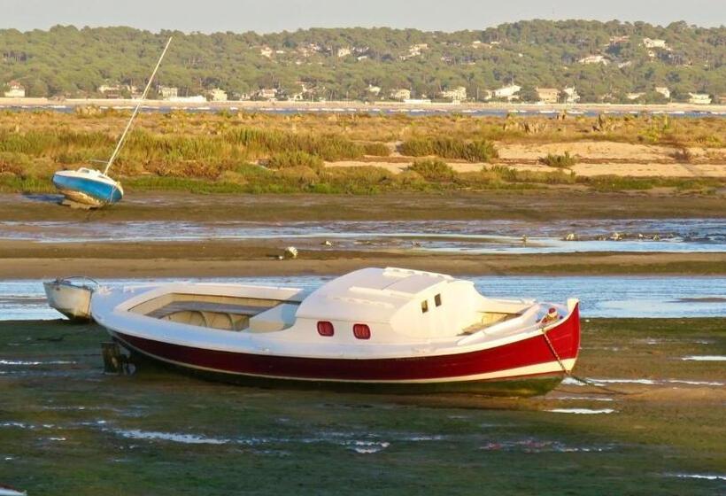 Bed and Breakfast Chambres D Hôtes Villa La Louisiane