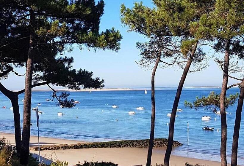 Bed and Breakfast Chambres D Hôtes Villa La Louisiane