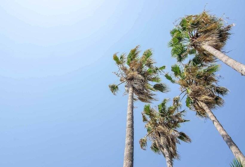 酒店 Atlantique Holiday Club - All Inclusive