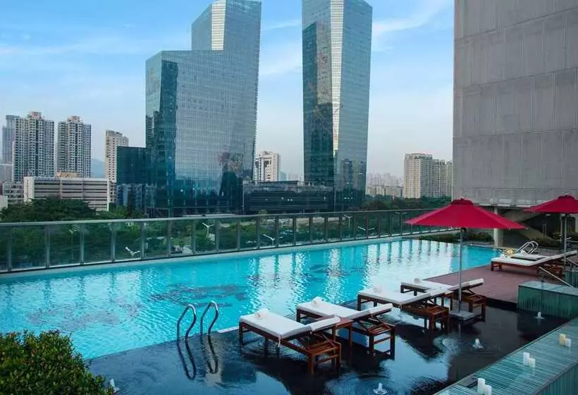 酒店 Hilton Shenzhen Futian