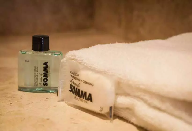 Hotel One Toluca Aeropuerto