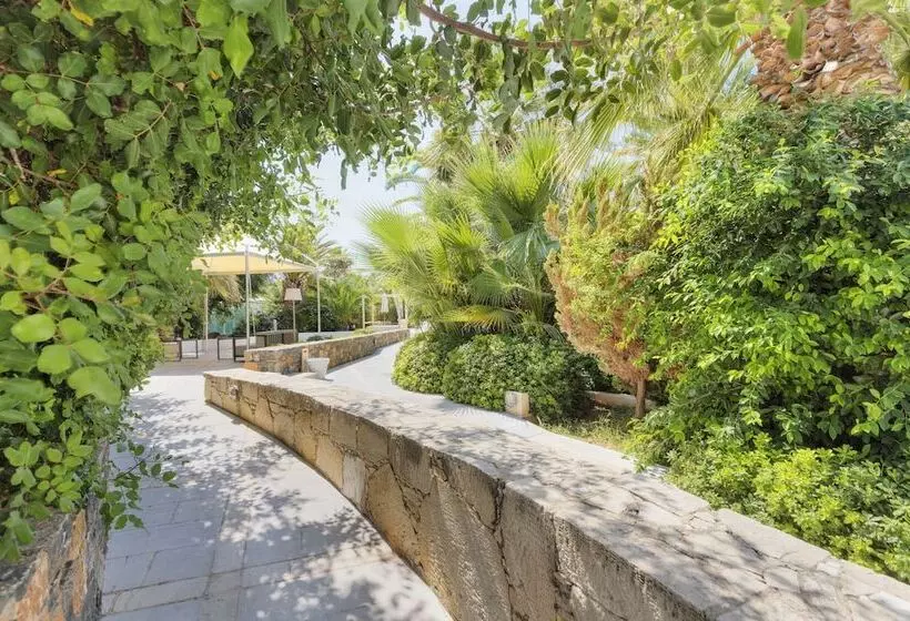 The Island Hotel   Adults Only