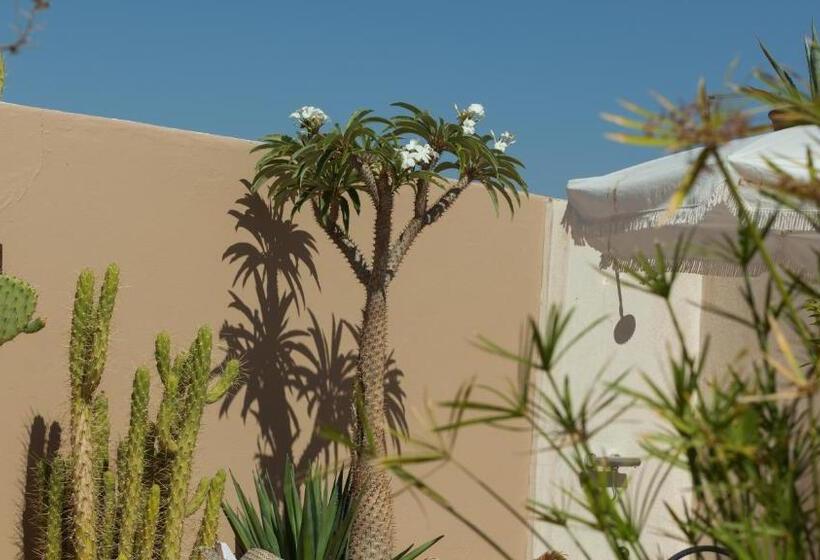 Riad Les Orangers D Alilia