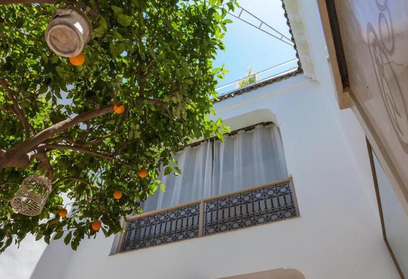 Riad Les Orangers D Alilia
