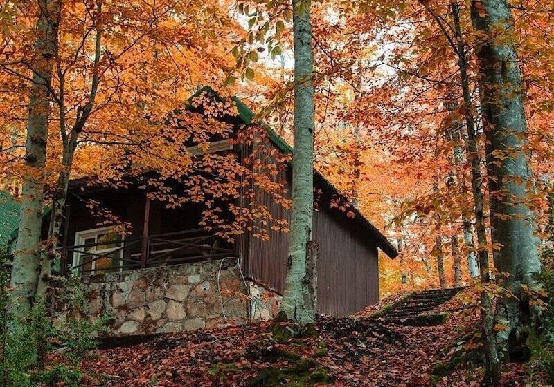 فندق Habitat Mesire Evleri