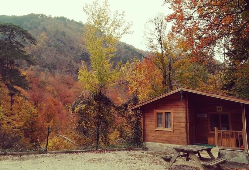 فندق Habitat Mesire Evleri