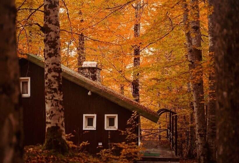 فندق Habitat Mesire Evleri