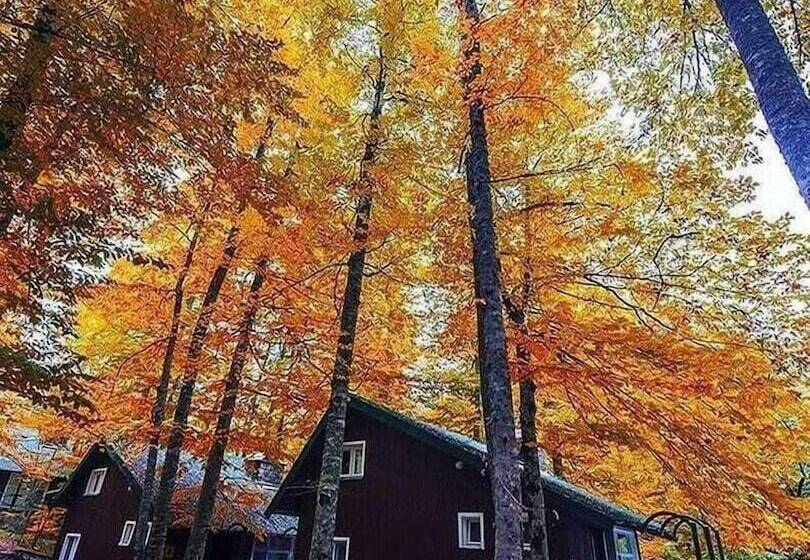 فندق Habitat Mesire Evleri