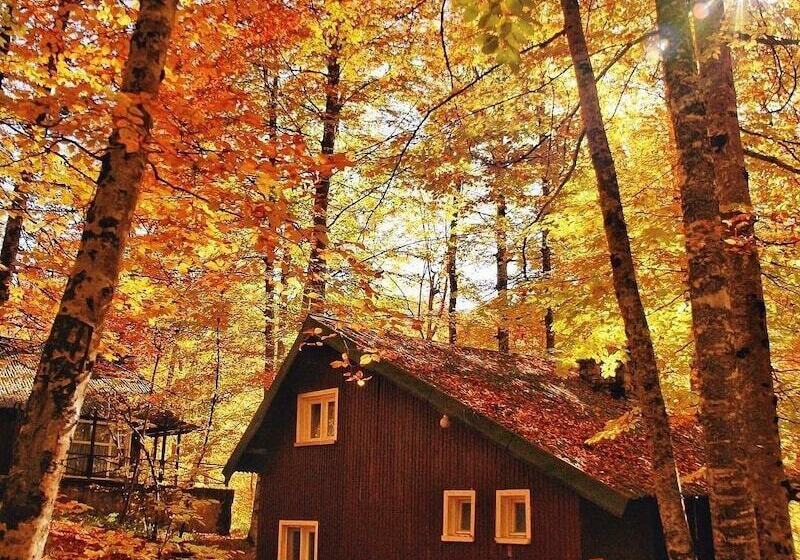 فندق Habitat Mesire Evleri