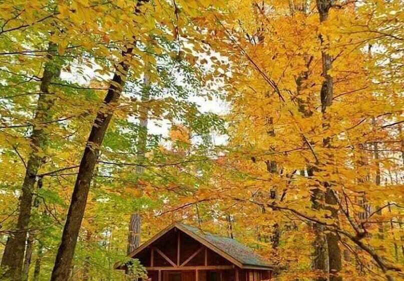 فندق Habitat Mesire Evleri