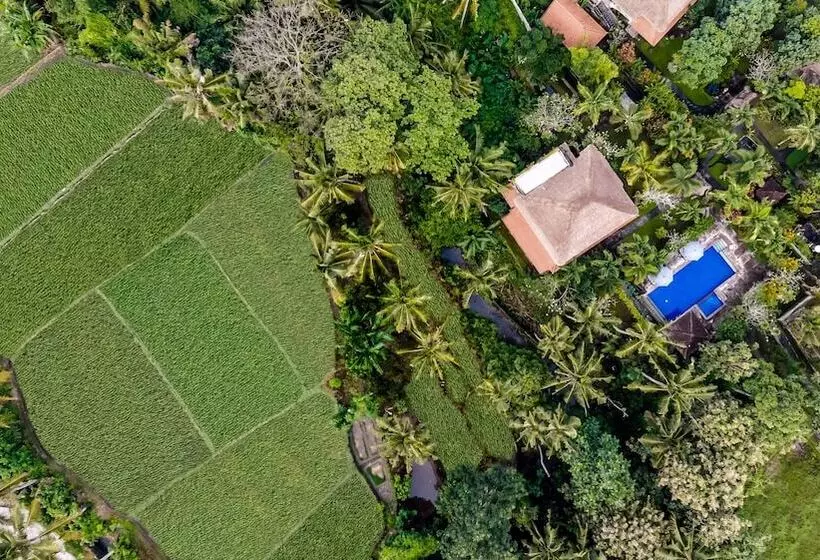 Hotel Alam Shanti Ubud