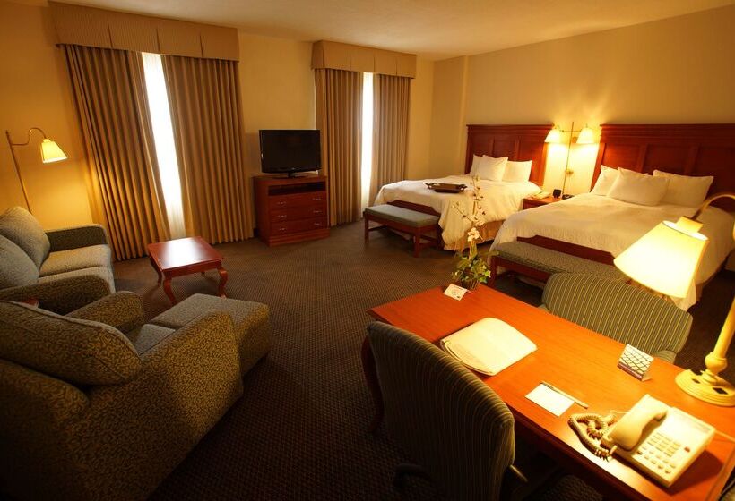 Otel Hampton Inn By Hilton Tampico Aeropuerto