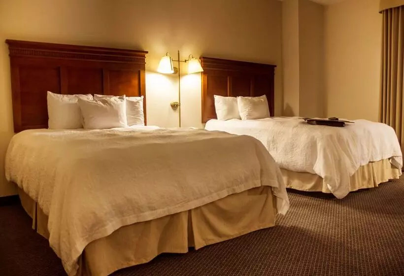 Отель Hampton Inn By Hilton Tampico Aeropuerto