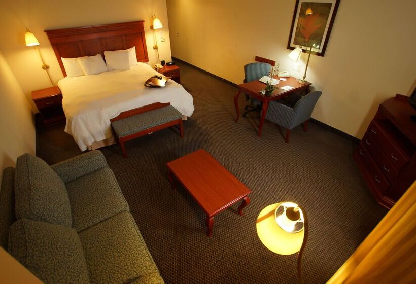 Otel Hampton Inn By Hilton Tampico Aeropuerto