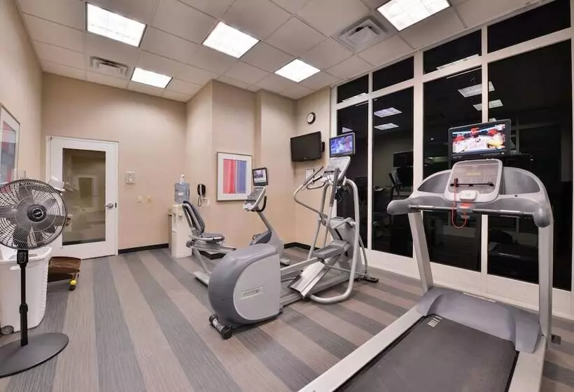 هتل Holiday Inn Kansas City Airport, An Ihg