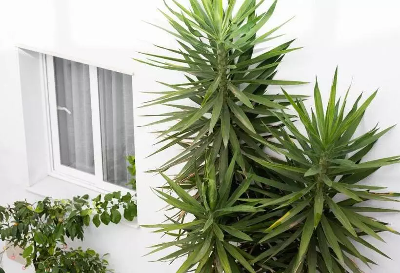 ホテル La Boutique Puerta Osario