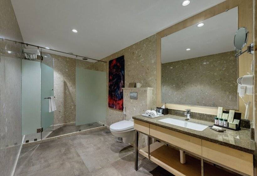 Отель The Fern Residency Aurangabad   Chhatrapati Sambhaji Nagar