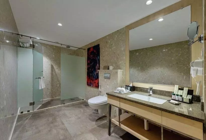 Hotel The Fern Residency Aurangabad   Chhatrapati Sambhaji Nagar