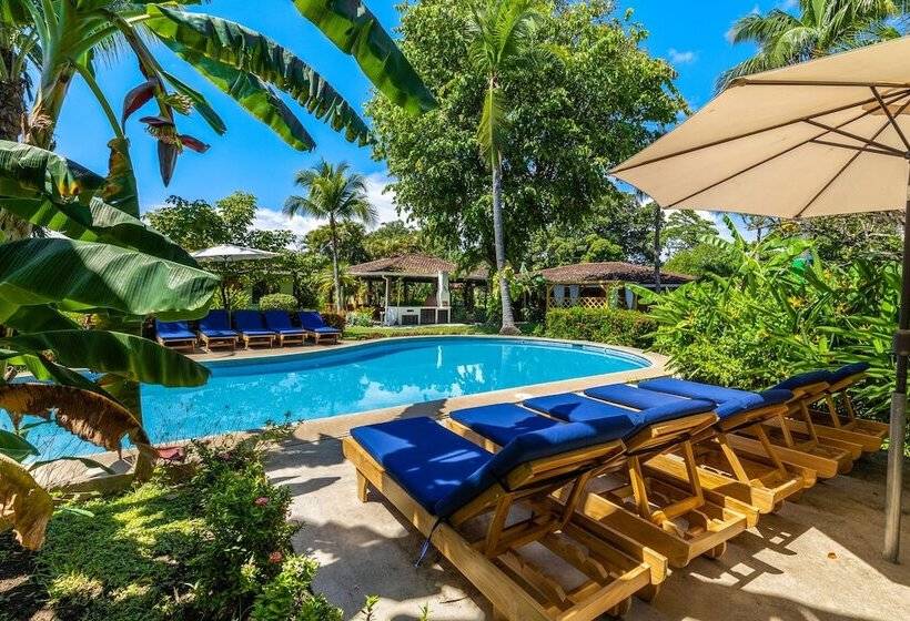 Отель Bahia Esmeralda