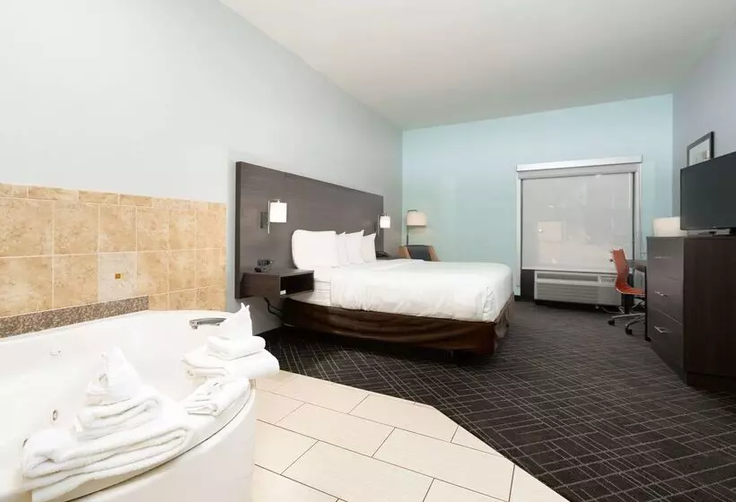 Hotel Baymont By Wyndham Augusta Riverwatch