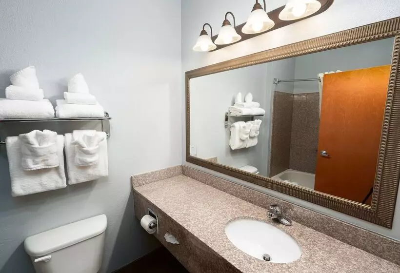 Hotel Baymont By Wyndham Augusta Riverwatch