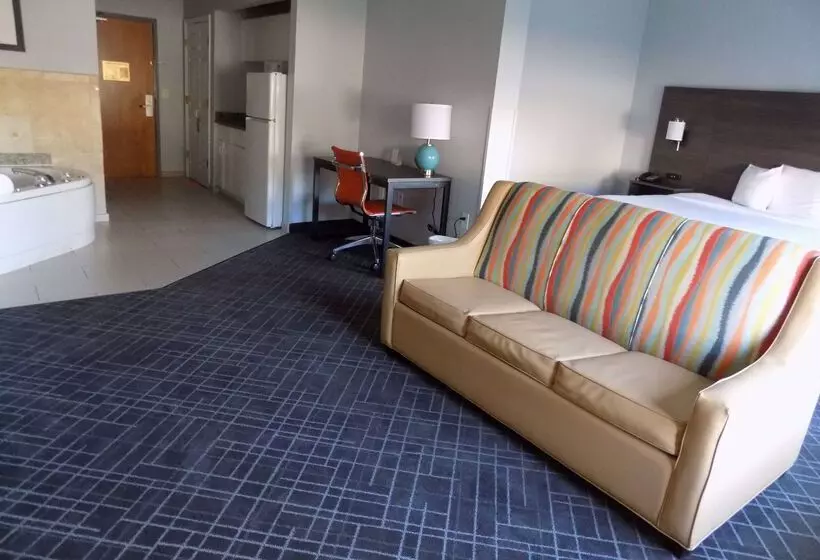 Hotel Baymont By Wyndham Augusta Riverwatch