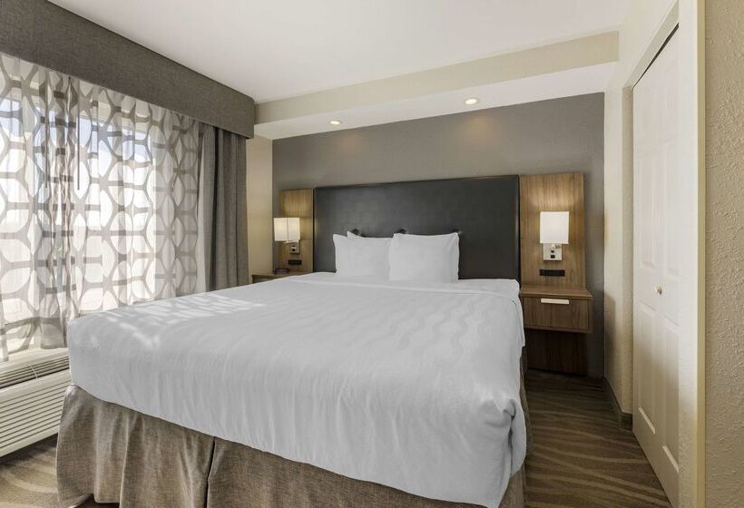 Best Western Plus Nashville Airport Hotel   Bna