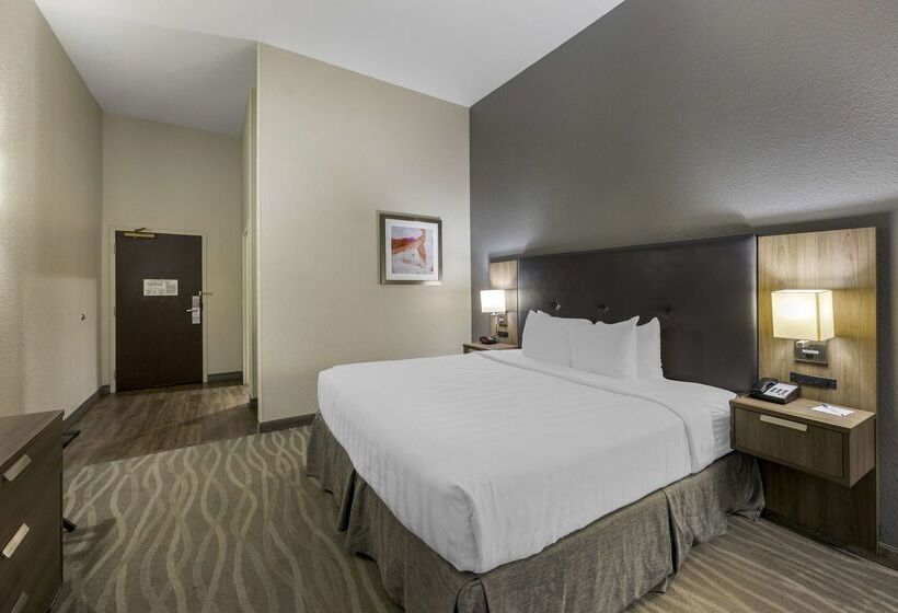 Best Western Plus Nashville Airport Hotel   Bna