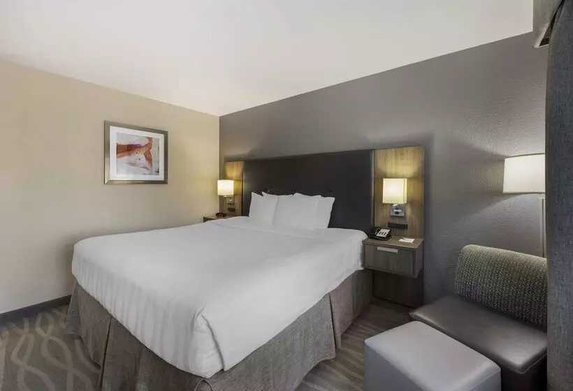 Best Western Plus Nashville Airport Hotel   Bna