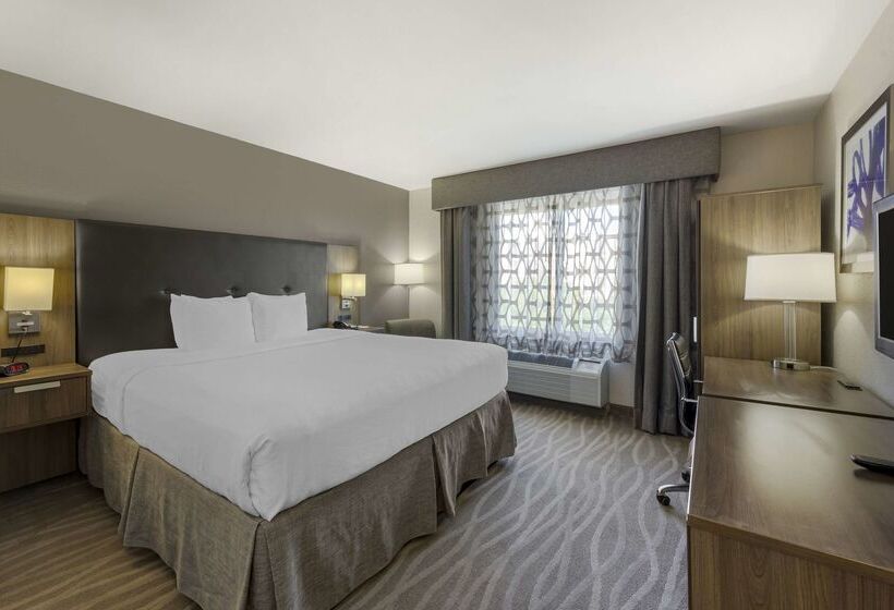 Best Western Plus Nashville Airport Hotel   Bna