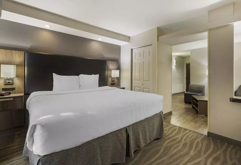 Best Western Plus Nashville Airport Hotel   Bna