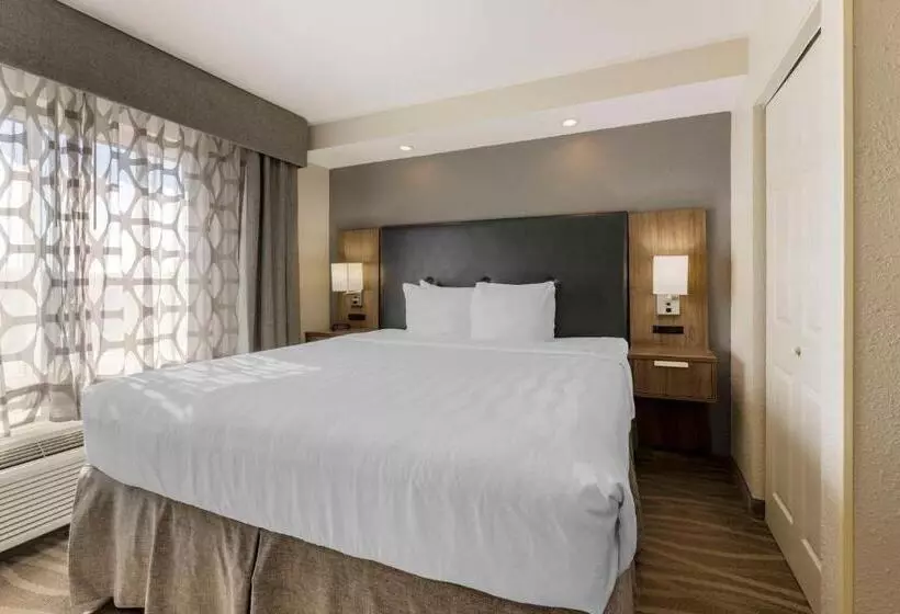 Best Western Plus Nashville Airport Hotel   Bna