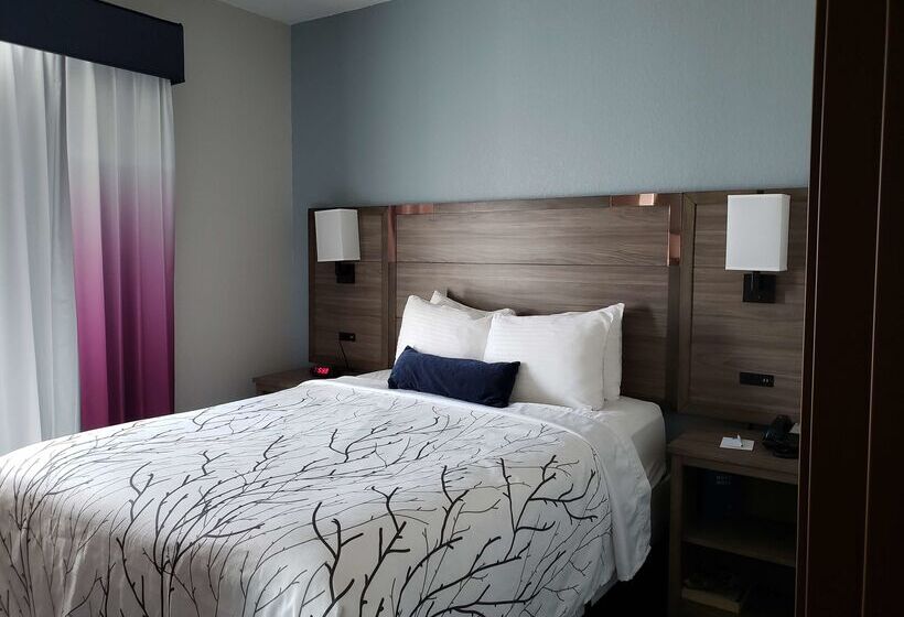 هتل Best Western Plus San Antonio East Inn & Suites