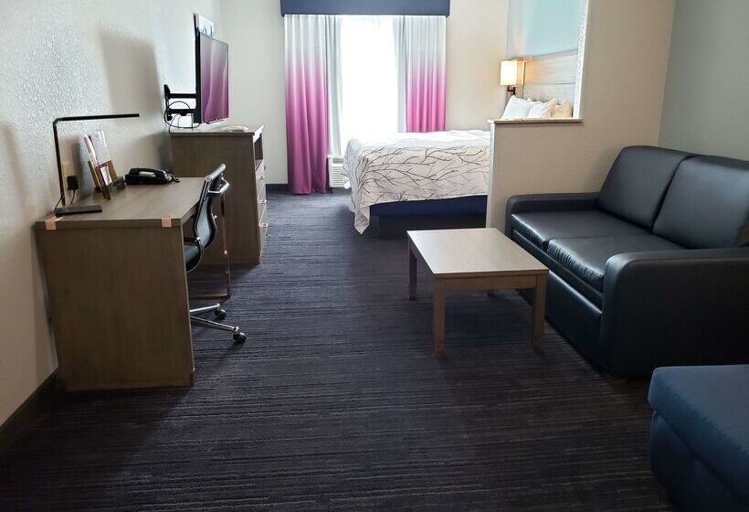 هتل Best Western Plus San Antonio East Inn & Suites