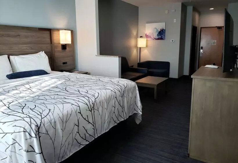 בית מלון כפרי Best Western Plus San Antonio East Inn & Suites