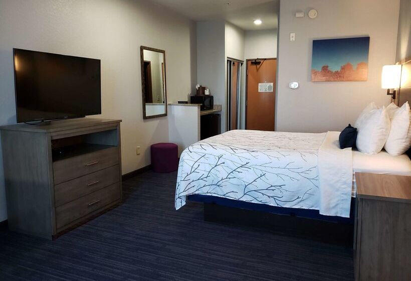 هتل Best Western Plus San Antonio East Inn & Suites