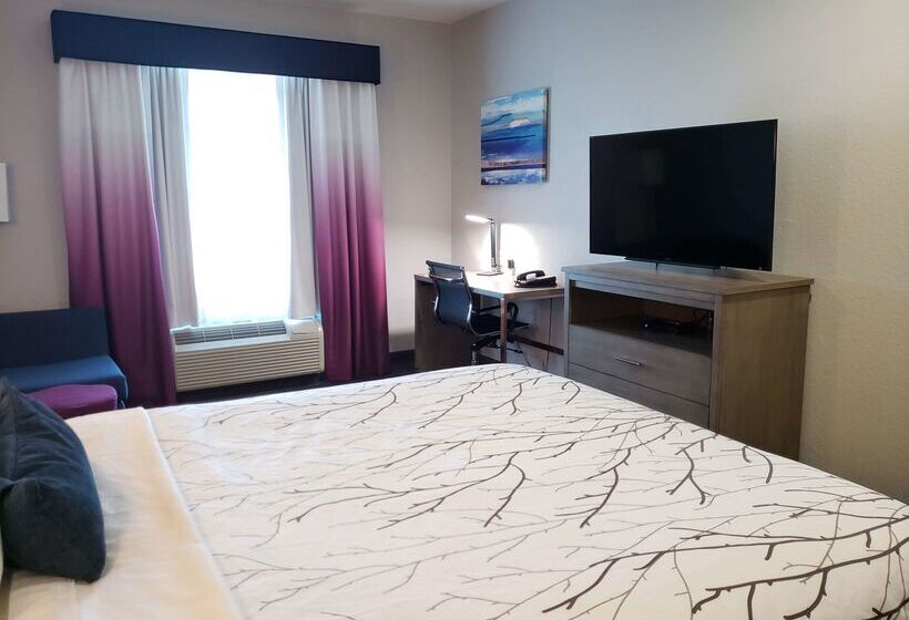 هتل Best Western Plus San Antonio East Inn & Suites