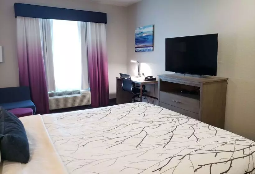 בית מלון כפרי Best Western Plus San Antonio East Inn & Suites