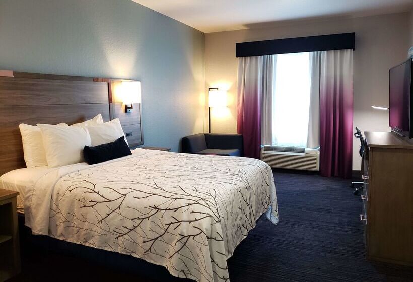 هتل Best Western Plus San Antonio East Inn & Suites