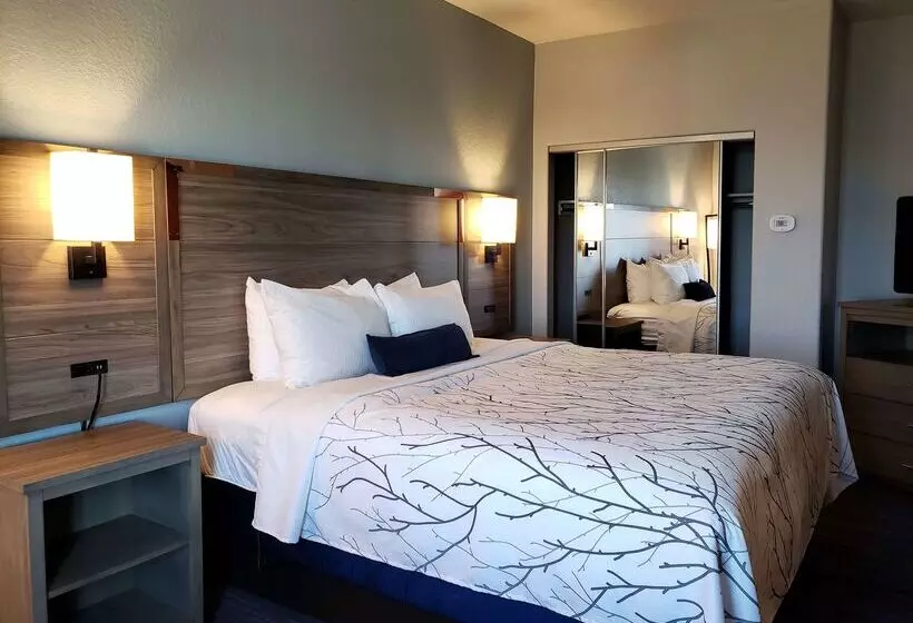 בית מלון כפרי Best Western Plus San Antonio East Inn & Suites