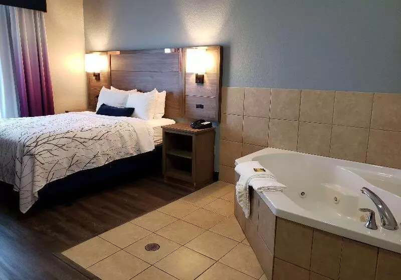 בית מלון כפרי Best Western Plus San Antonio East Inn & Suites