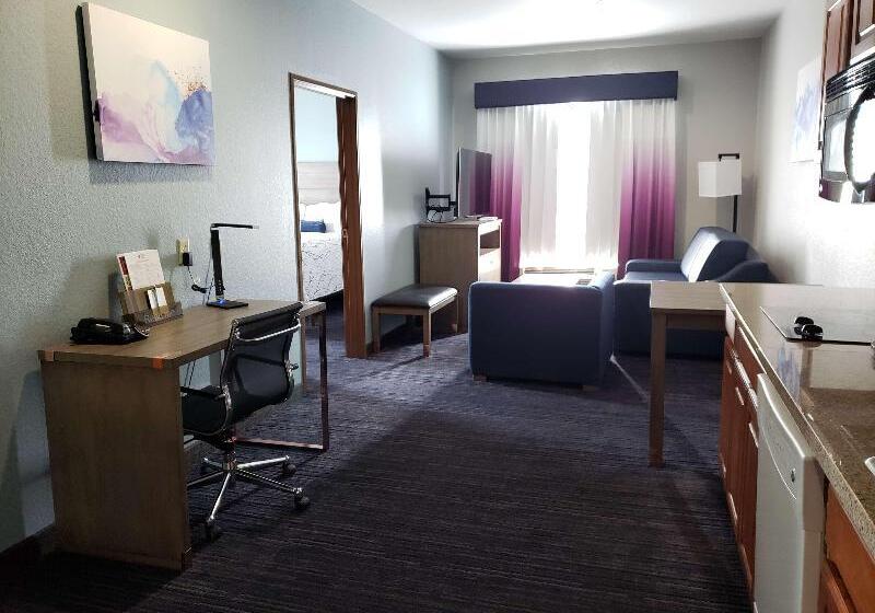 هتل Best Western Plus San Antonio East Inn & Suites