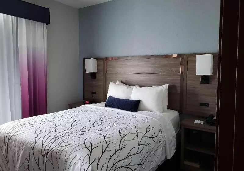 בית מלון כפרי Best Western Plus San Antonio East Inn & Suites