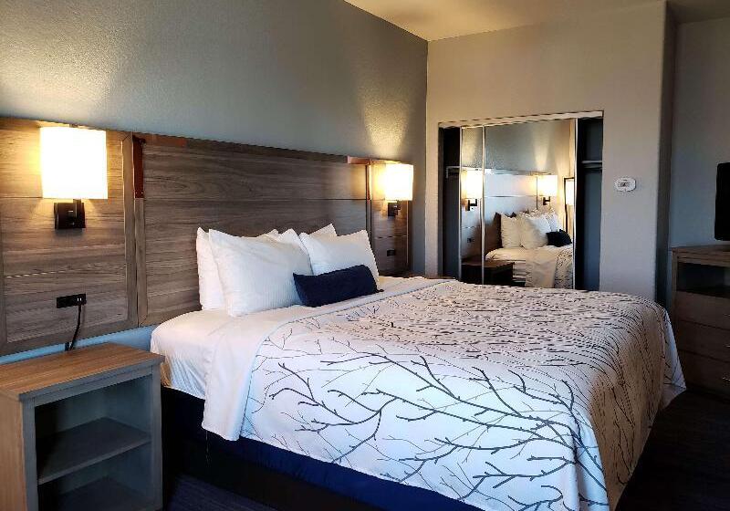 هتل Best Western Plus San Antonio East Inn & Suites