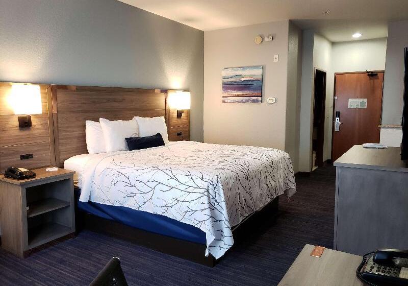 هتل Best Western Plus San Antonio East Inn & Suites