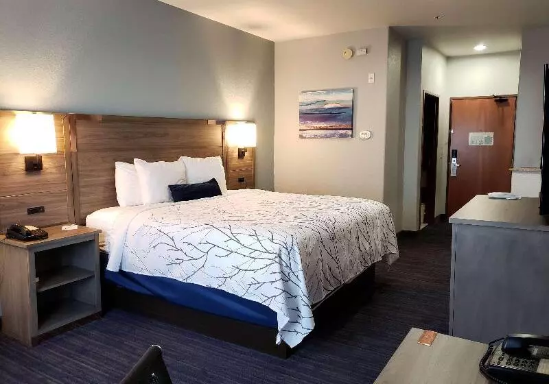 בית מלון כפרי Best Western Plus San Antonio East Inn & Suites