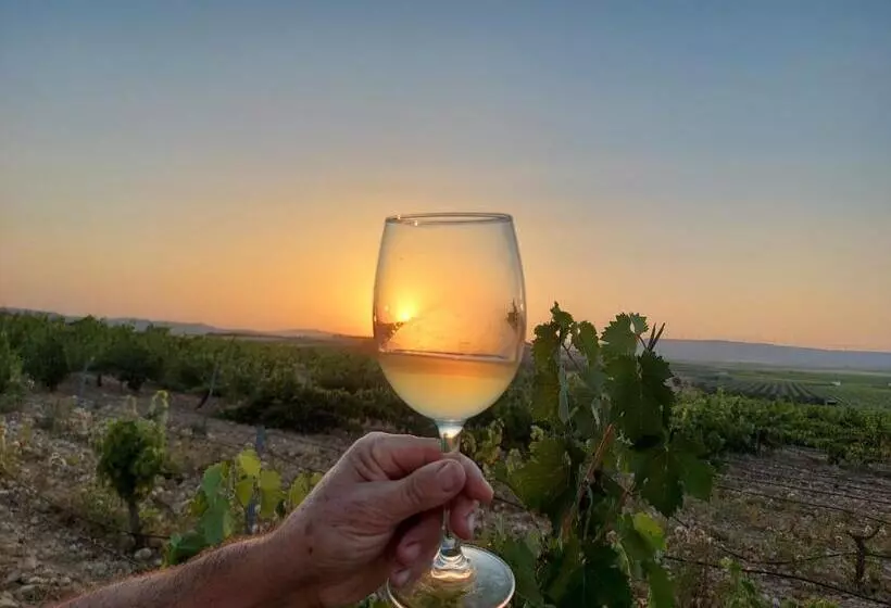 Hotel Enoturismo Mainetes