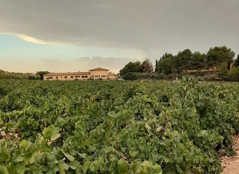 Hotel Enoturismo Mainetes