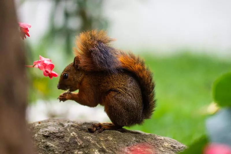 Greenview Medellin By St Hoteles