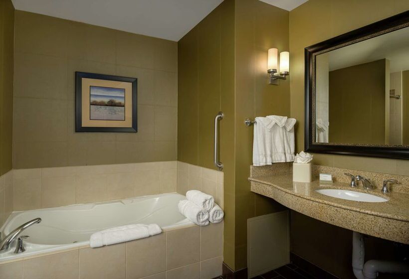 فندق Hilton Garden Inn Phoenix Airport North